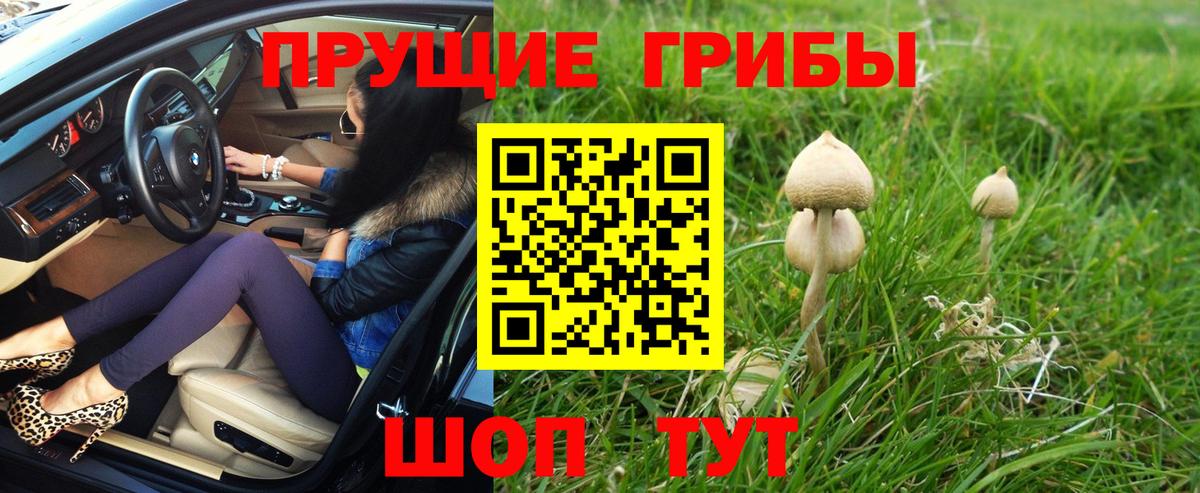 Псилоцибиновые грибы прущие грибы Луга